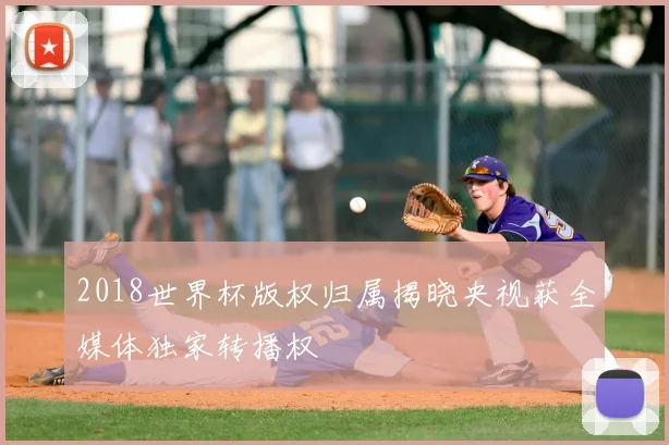 2018世界杯版权归属揭晓央视获全媒体独家转播权