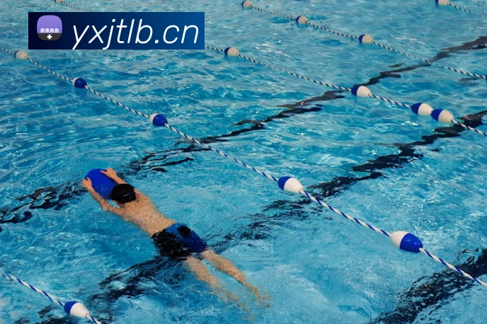 米兰体育网页官网平台生态图